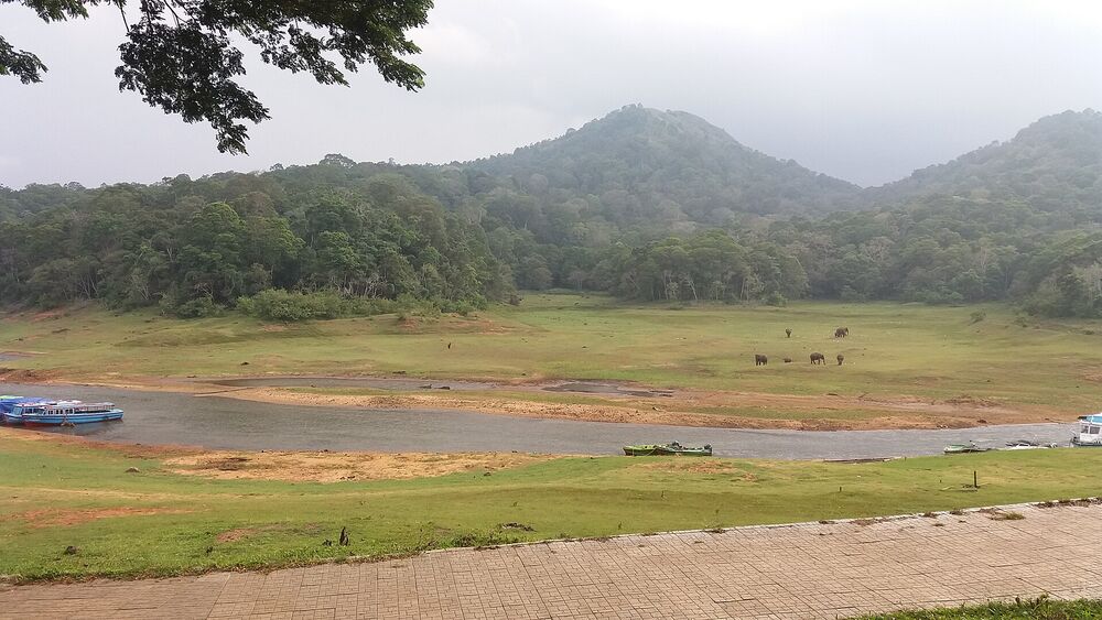 Periyar lake at Thekkady